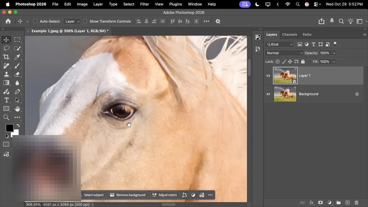 Detaliu în Photoshop al ochiului și coamei calului pentru a ilustra efectele AI Sharpen