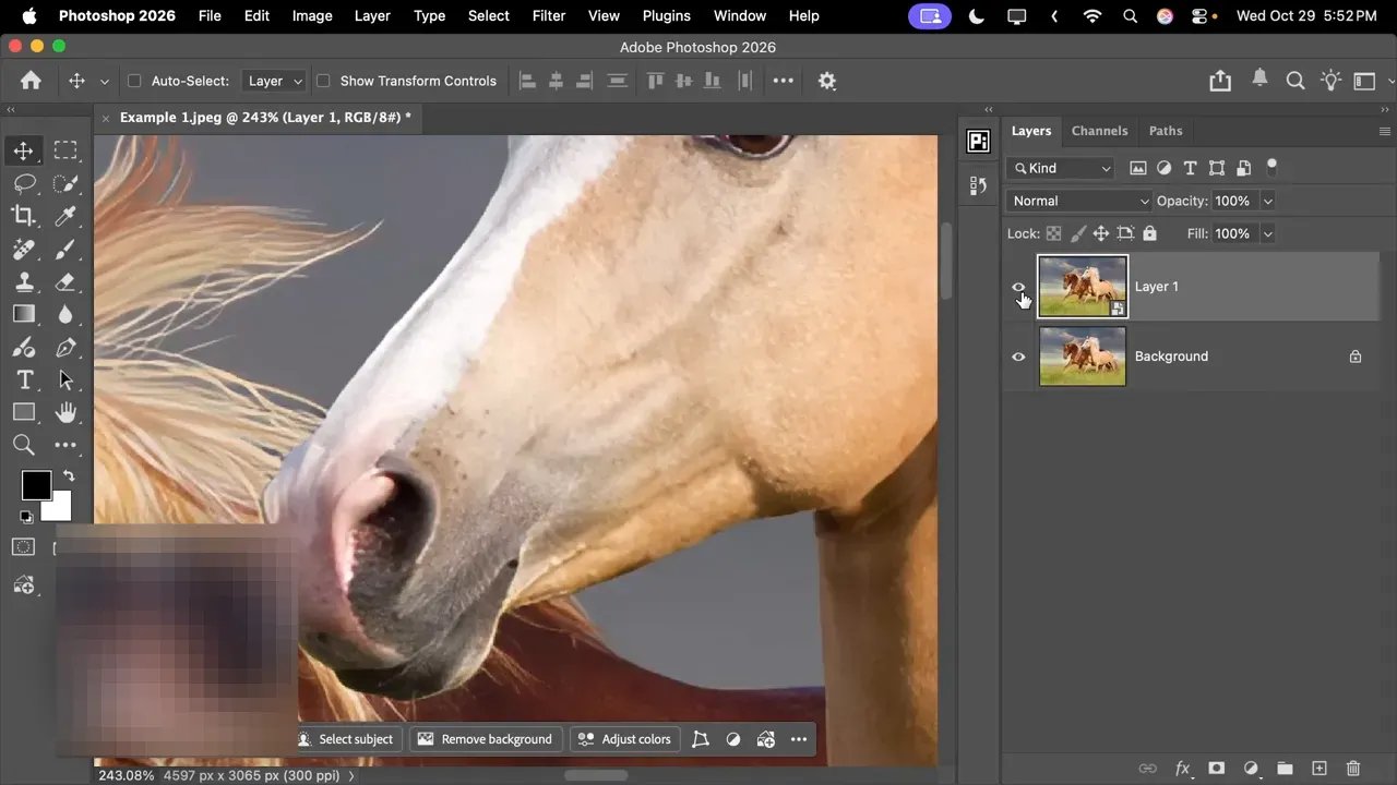 Detaliu în Photoshop cu coama calului vizibilă clar și panoul Layers; exemplu pentru evaluarea AI Sharpen